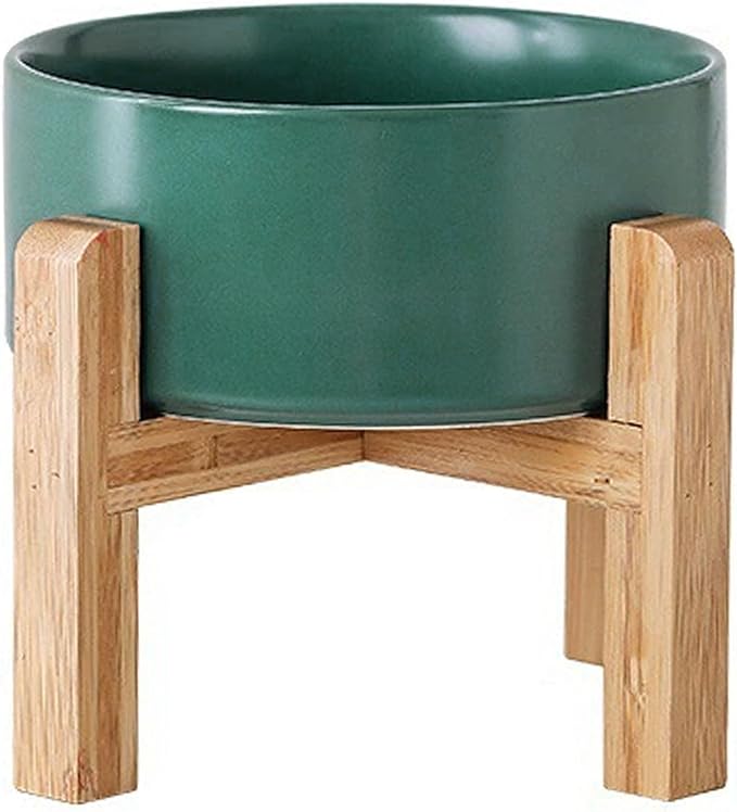 Petygooing Green Elevated/Raised Ceramic Dog Bowl by PetygooingforYOURLOVEDPET