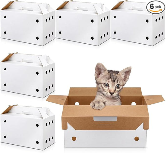 Gilprop 6 Pack Cardboard Pet Carrier 17.5 x 8.66 x 12.2 Inches Small Animal by Gilprop