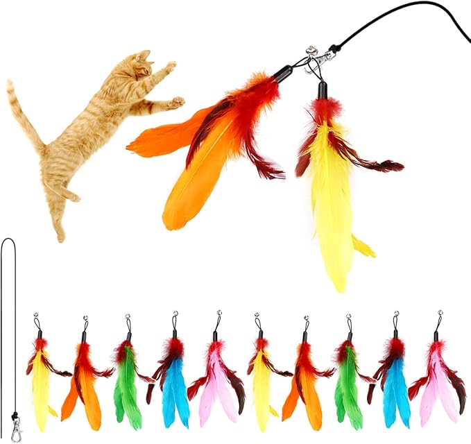 MeoHui 11PCS Cat Feather Toys Refills, Interactive Cat Wand Toy Replacement - Image 2