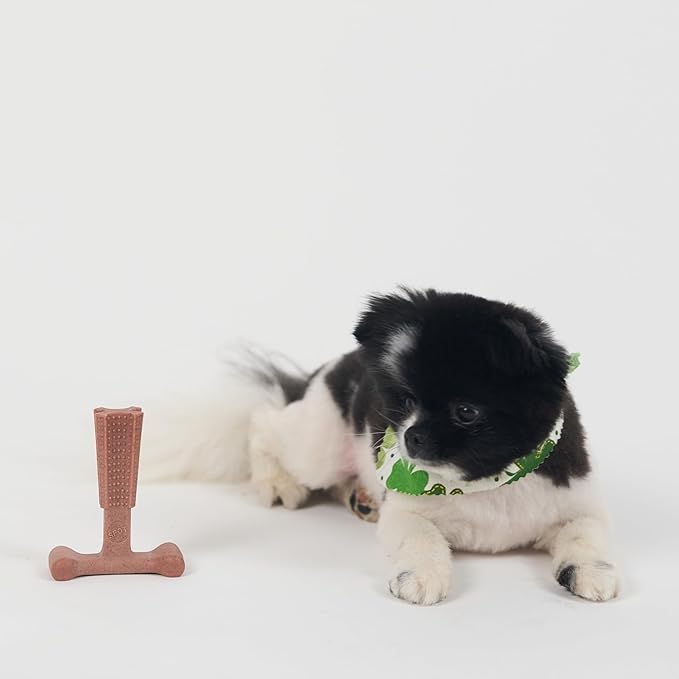 SPOT Bam-Bones Plus T Bone – Bamboo Fiber & Nylon Dog Chew Toy - Image 11