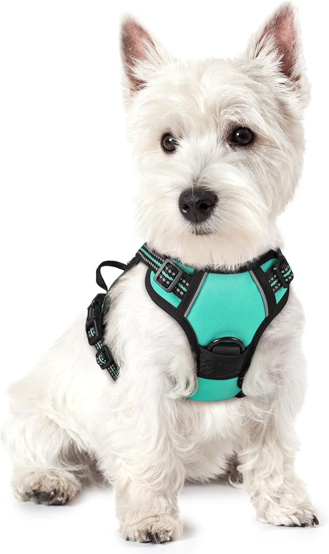rabbitgoo Dog Harness No Pull by rabbitgoo