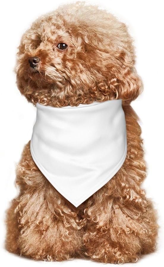Personalized Dog Scarf Custom Pet Scarf - Image 6