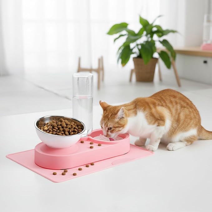 Double Elevated Dog Cat Food Water Bowls, Stainless Steel Cat Food Water Bowl - Image 9
