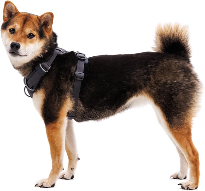 Ruffwear, Front Range Dog Harness, Reflective Soft Padded Everyday Harness - Image 6