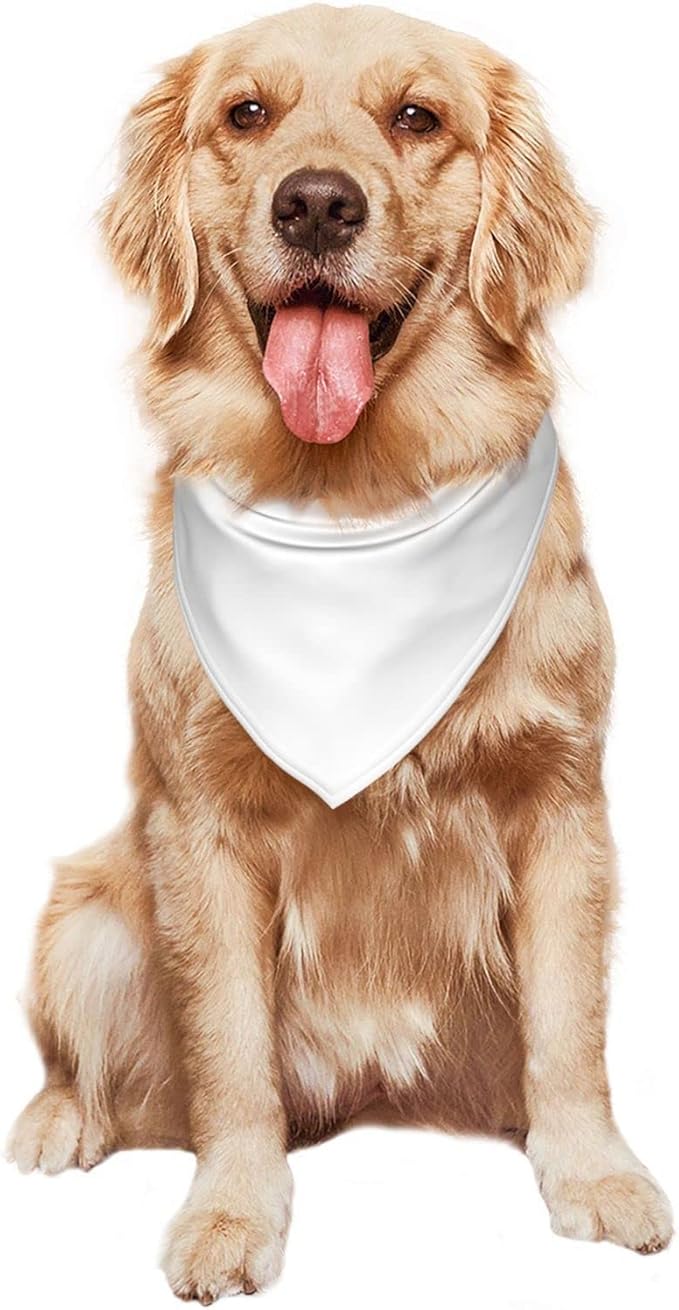 Personalized Dog Scarf Add Your Design Custom Dog Bandanas by VYXONIA