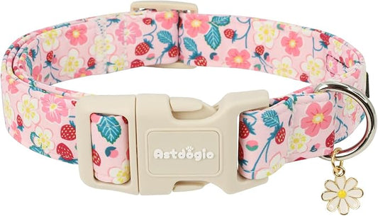 Dog Collar for Small Dogs, Spring Pink Dog Collars by Unknown