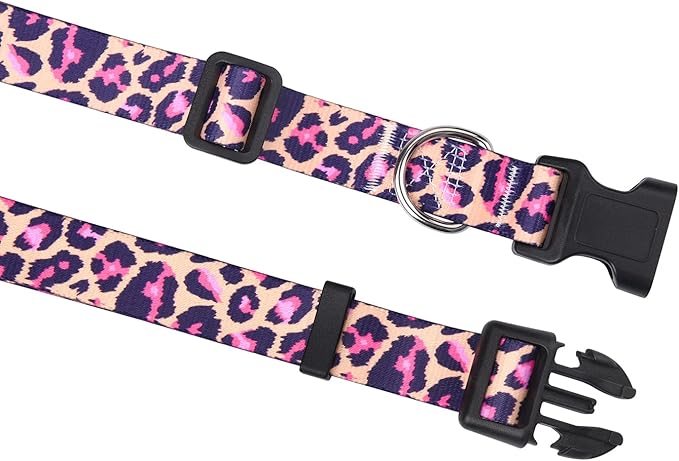 Mihqy Dog Collar and Leash Set - Image 2
