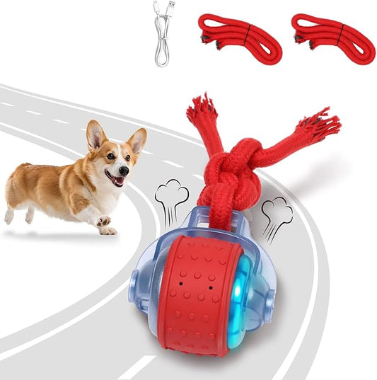 Dog Toys Interactive Dogs Squeaker by BENTOPAL
