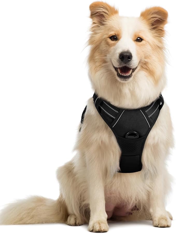 rabbitgoo Dog Harness No Pull by rabbitgoo