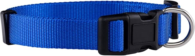 Native Pup Basic Nylon Dog Collar, Adjustable by NativePup