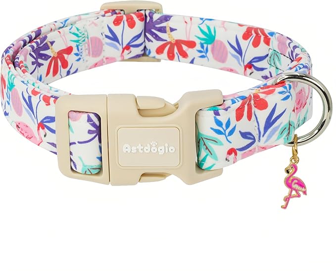 Summer Dog Collar for Small Dogs，Cute Puppy Collars by Unknown