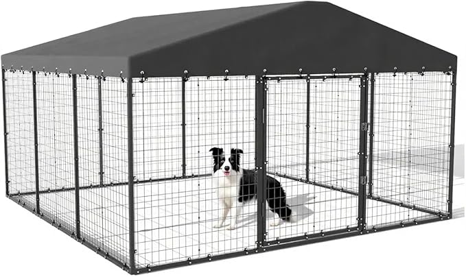 10x10x6 FT Large Outdoor Dog Kennel by RTDTD