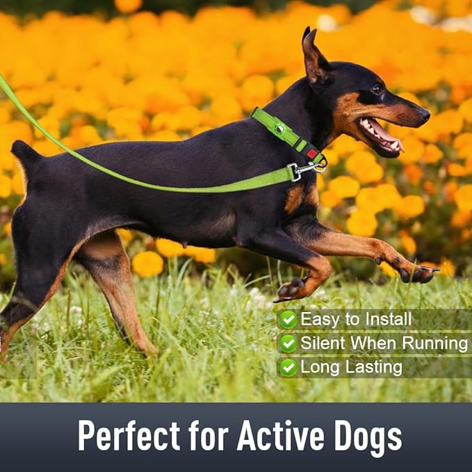 AirTag Dog Collar with AirTag Holder Compatible - Image 3