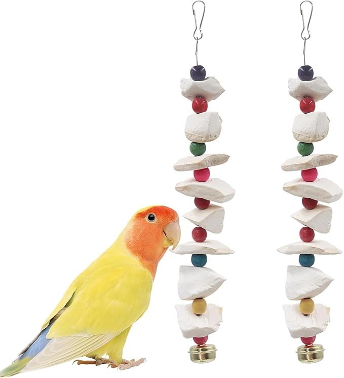 2 Pack Bird Toys with Cuttlebone, Parakeet Toys, Bird Beak Grinding Stone by Unknown