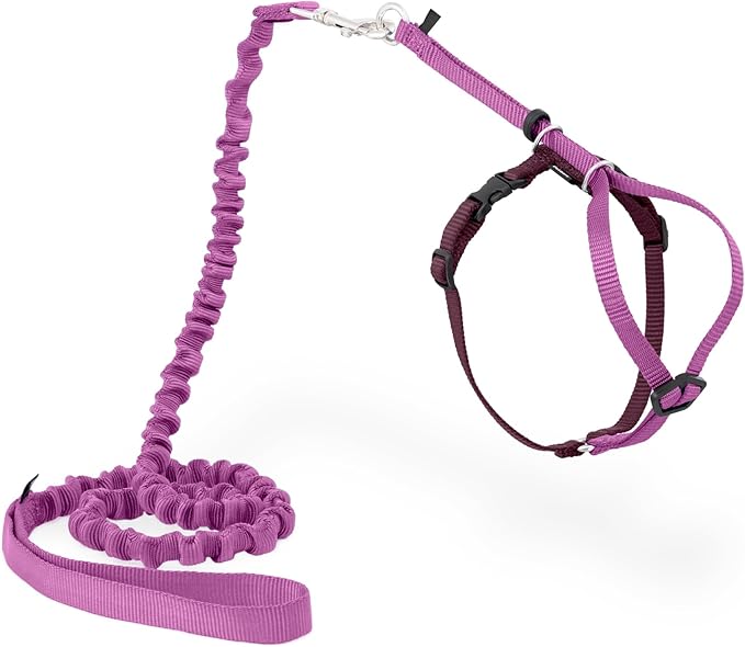 PetSafe Come with Me Kitty Harness and Bungee Leash Adjustable, Lightweight by PetSafe
