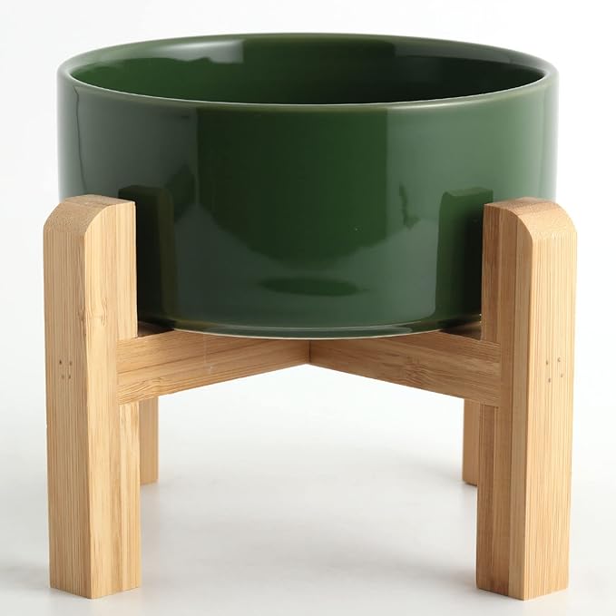 Petygooing Rust Green Elevated/Raised Ceramic Dog Bowl by PetygooingforYOURLOVEDPET