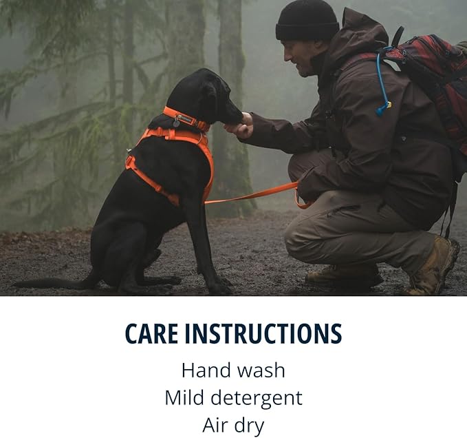 Ruffwear, Front Range Dog Harness, Reflective Soft Padded Everyday Harness - Image 4