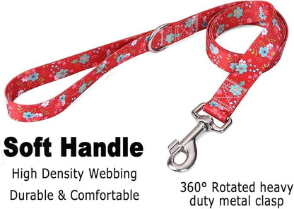 Mihqy Dog Collar and Leash Set - Image 4