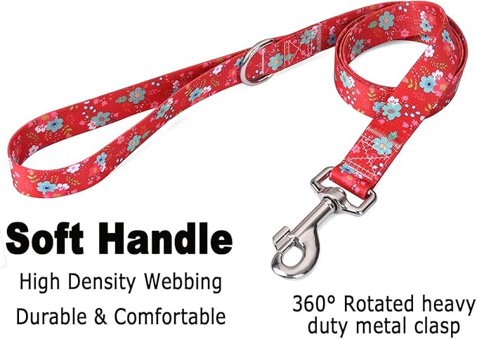 Mihqy Dog Collar and Leash Set - Image 4