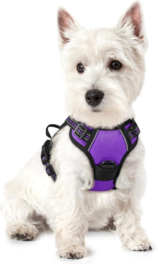 rabbitgoo Dog Harness No Pull by rabbitgoo