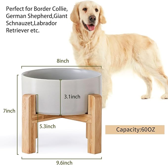 Petygooing Grey Elevated/Raised Ceramic Dog Bowl - Image 3