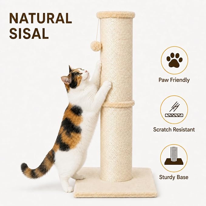 PAWSCRAT Cat Scratching Post 32 Inch High, 5.5 Inch Large Diameter Natural - Image 3