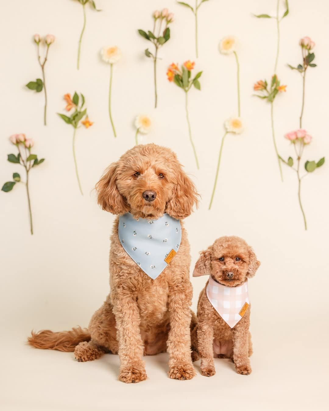 Remy+Roo Extra Large Spring Dog Bandanas - 4 Pack Emily Set | Premium Durable Adjustable Polyester Fabric Dog Scarfs | Patented Shape Girl Dog Bandana, Trendy Patterns, Floral Dog Bandana