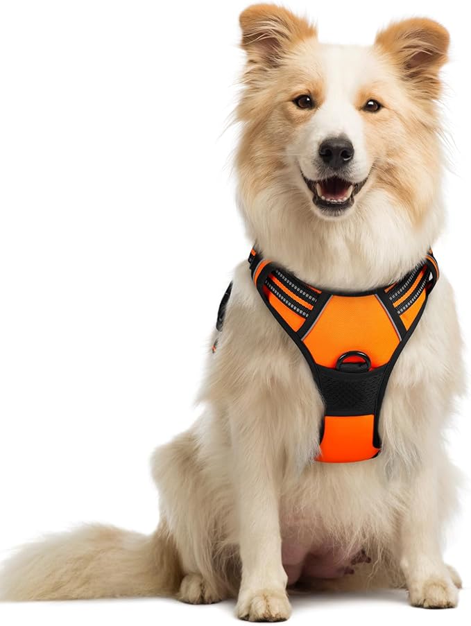 rabbitgoo Dog Harness No Pull by rabbitgoo