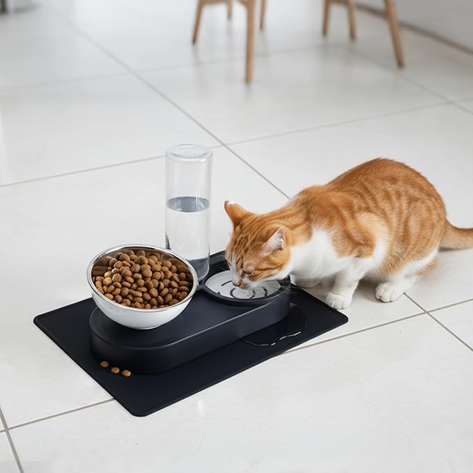 Raised Dog Cat Food Bowl, Cat Food and Water Bowl Set - Image 9