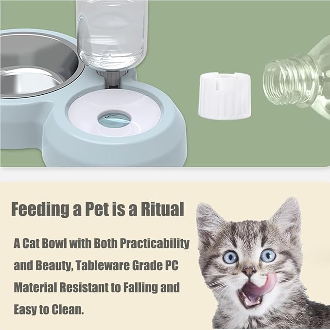Double Dog Cat Bowls, Cat Food and Water Bowl Set - Image 4