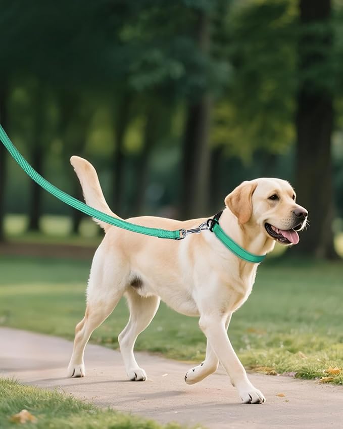 Joytale Dog Collar for Large Dogs, Strong Double-Sided Reflective Nylon Collar - Image 6