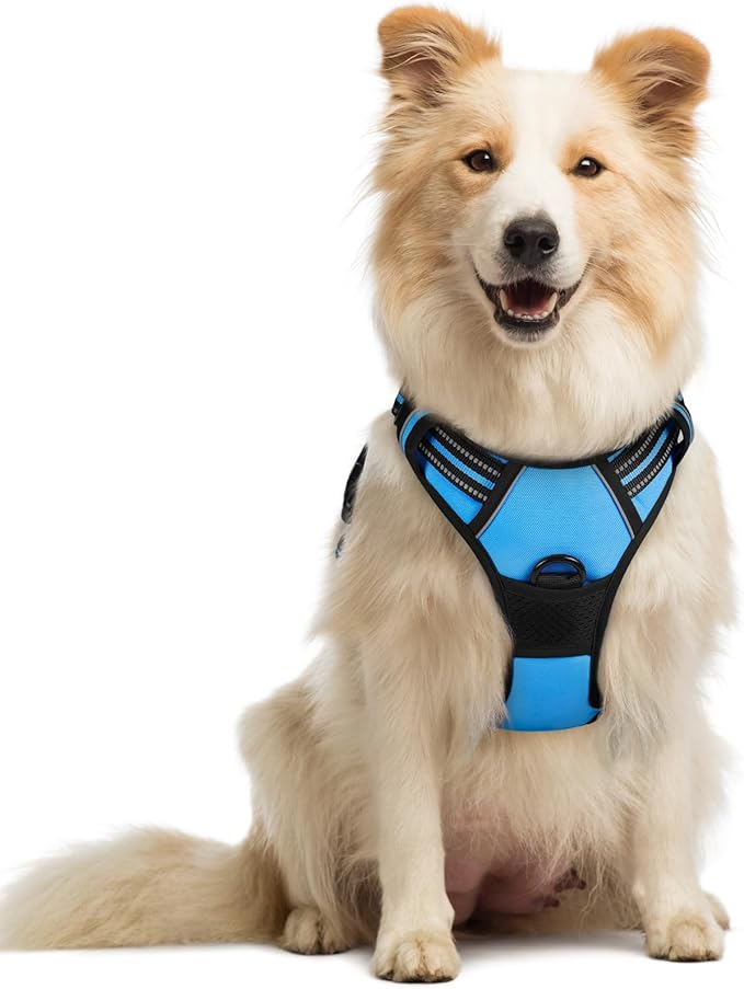 rabbitgoo Dog Harness No Pull by rabbitgoo