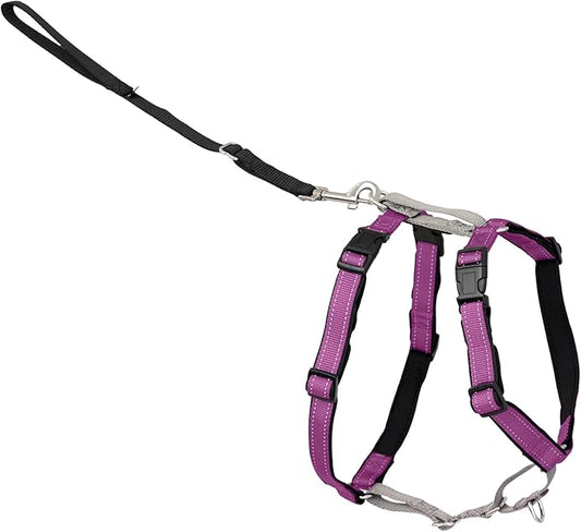 PetSafe 3 in 1 No-Pull Dog Harness by PetSafe