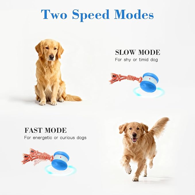 Interactive Dog Ball, Random Path Electric Automatic Moving and Rolling Dogs Toy - Image 3