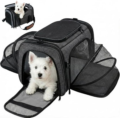 Soft Sided Pet Carrier for Small Dogs & Cats – Airline Approved Underseat by Unknown