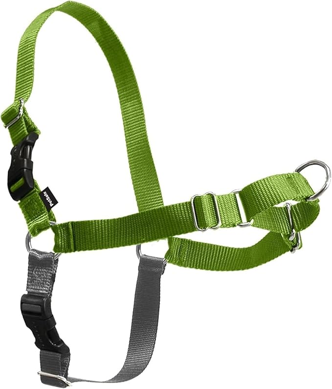 PetSafe Easy Walk No-Pull Dog Harness by PetSafe
