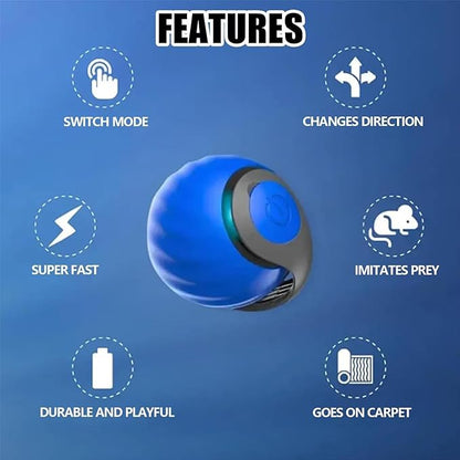 Speedy 2.0 Tail Interactive Cat Toys - Image 5