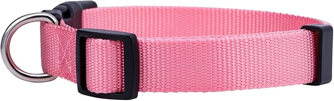 Native Pup Basic Nylon Dog Collar, Adjustable - Image 2