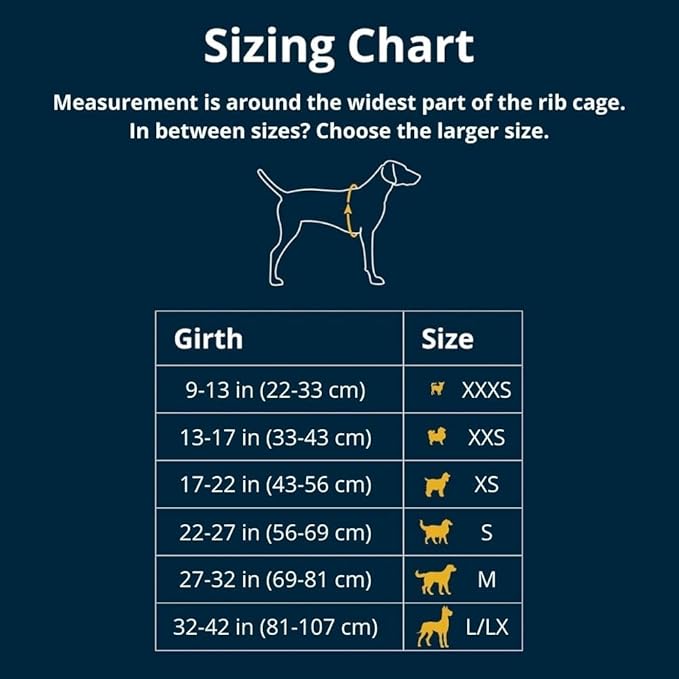 Ruffwear, Hi & Light, Everyday Lightweight Dog Harness, Trail Running, All-Day - Image 2