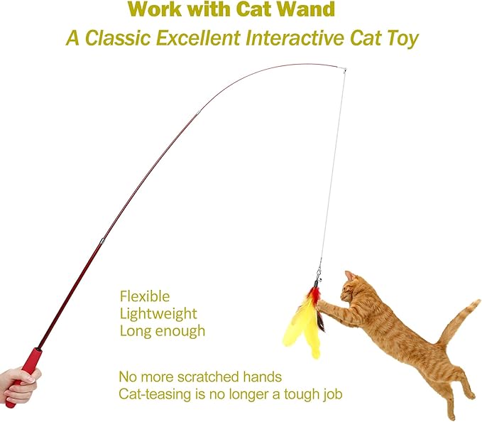 MeoHui 11PCS Cat Feather Toys Refills, Interactive Cat Wand Toy Replacement - Image 3