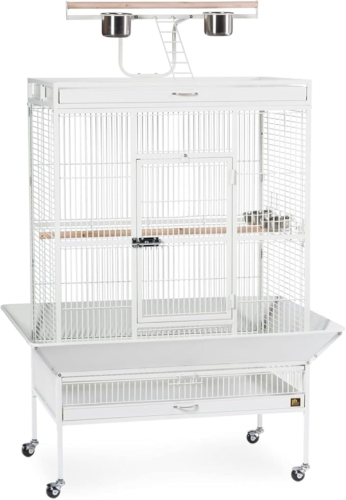 Prevue Pet Products Wrought Iron Select Bird Cage 3154C, Chalk White, 36-Inch by PrevuePetProducts