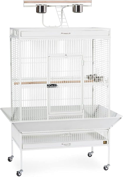 Prevue Pet Products Wrought Iron Select Bird Cage 3154C, Chalk White, 36-Inch by PrevuePetProducts