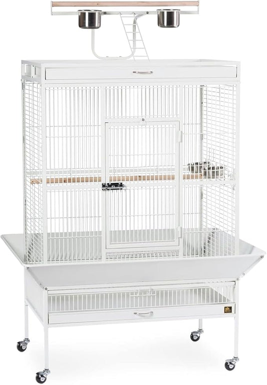 Prevue Pet Products Wrought Iron Select Bird Cage 3154C, Chalk White, 36-Inch by PrevuePetProducts
