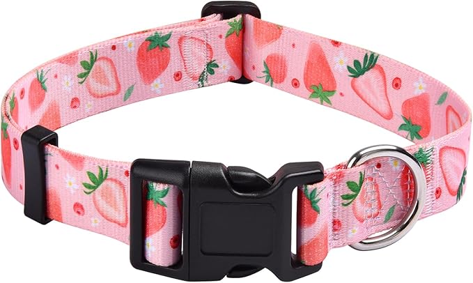 Mihqy Dog Collar with Bohemia Floral Tribal Geometric Patterns by Mihqy