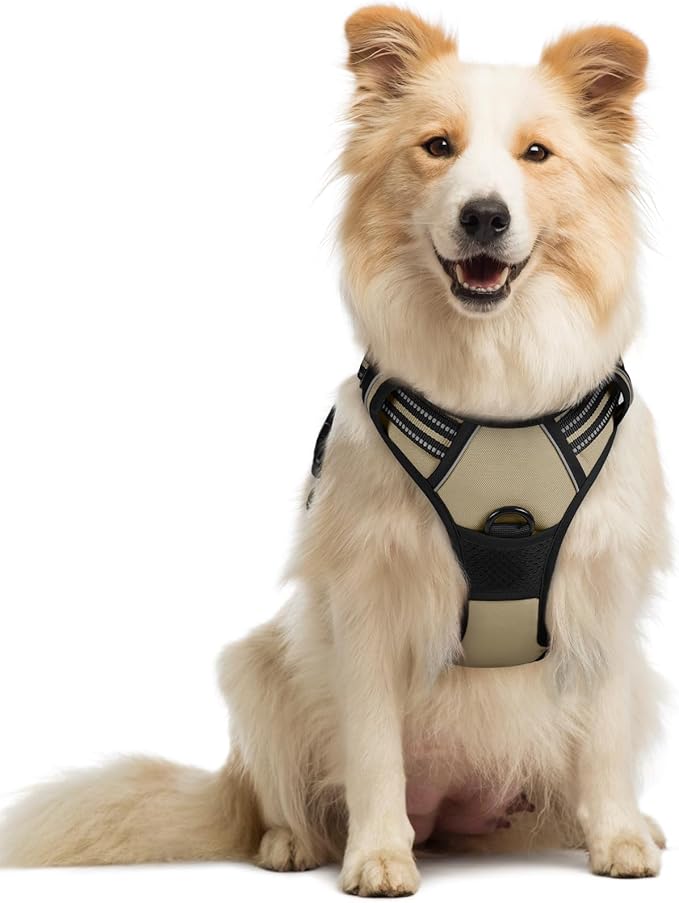rabbitgoo Dog Harness No Pull by rabbitgoo