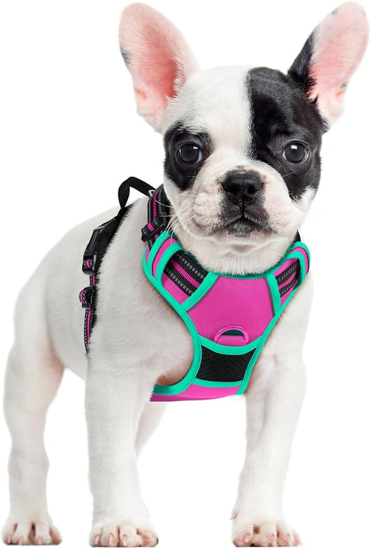 rabbitgoo Dog Harness No Pull by rabbitgoo