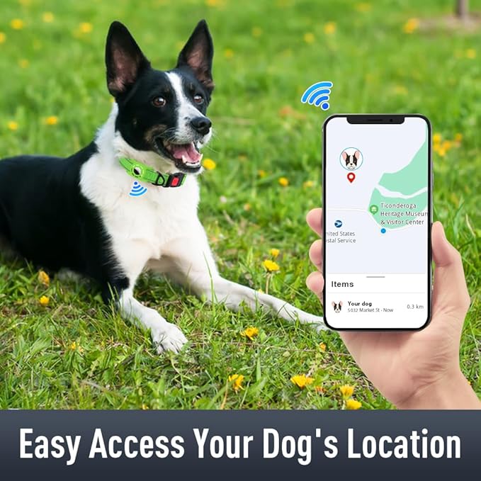 AirTag Dog Collar with AirTag Holder Compatible - Image 2