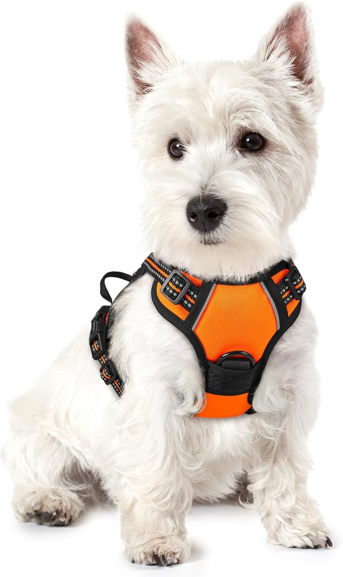 rabbitgoo Dog Harness No Pull by rabbitgoo