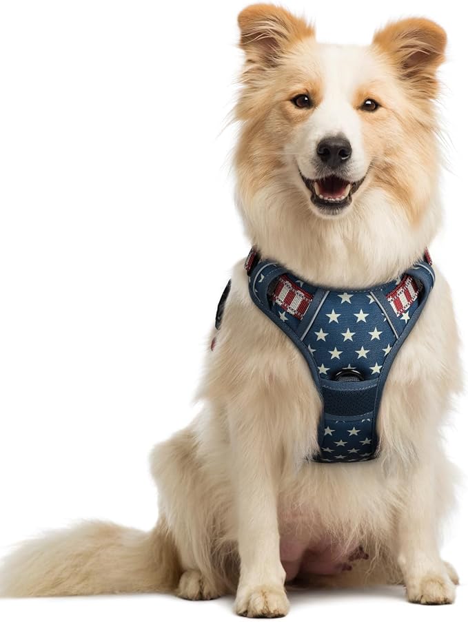 rabbitgoo Dog Harness No Pull by rabbitgoo