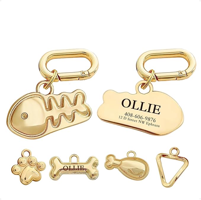 Dogs ID Tags Personalized Double Sided Deep Engraved Cat & Dog Collar Charm by MEMOPAW